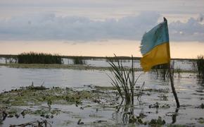 Киев подсчитал площадь захваченных территорий в Донбассе