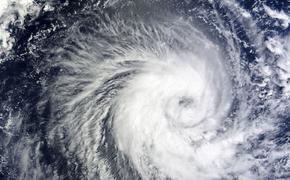 В Индии из-за циклона эвакуируют порядка 800 тысяч человек