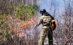 На Южном Урале ликвидировано 150 лесных пожаров
