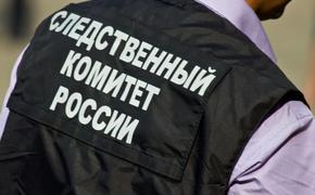 Трое маленьких детей погибли при пожаре в Новосибирской области