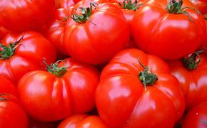 Ученые рассказали о пользе томатного сока как для мужчин, так и для женщин