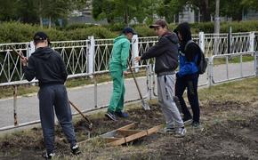 Троицким школьникам дали подзаработать на каникулах