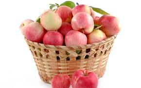 Названы пять причин, для чего нужно есть яблоки каждый день