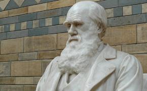 Российский священник поведал о разговоре с Чарльзом Дарвином