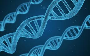 Ученые выявили мутацию гена, которая приводит к развитию онкологии