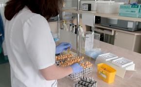 Ученые предупредили россиян об угрозе распространения опасных тропических болезней