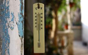 Гидрометцентр: тёплую погоду в Москве сменят заморозки