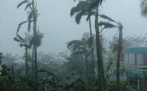 Число жертв урагана "Дориан" на Багамах увеличилось до 20 человек