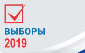 Кино не для всех: как технологии рулили выборами-2019 в Волгоградской области