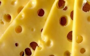 Ученые рассказали, почему сыр является полезным продуктом
