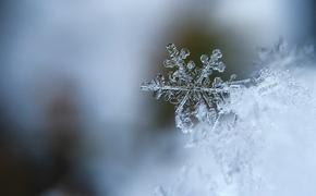 Синоптики назвали дату первого снегопада в Москве