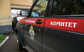 Подмосковные следователи  задержали  подозреваемого  в убийстве 17-летней девушки в Домодедово