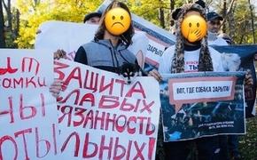 Зоозащитников пытаются втянуть в скандал в Краснодаре