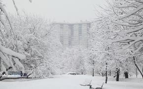 Синоптики пророчат Москве самую теплую зиму за всю историю метеонаблюдений