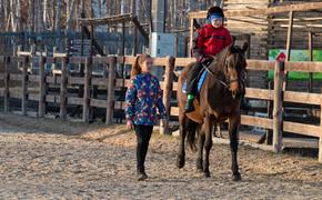 12-летняя спортсменка с синдромом Дауна готовится к турниру по конному спорту