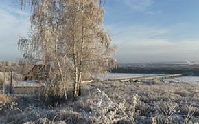 Под Петербургом в городе Колпино   мужчина нашел  останки  маленького ребенка