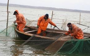 Поддержку государства получат рыбоводы