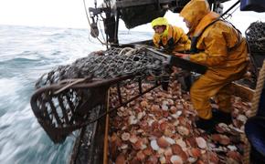 Лондон готовится к войне за рыбу