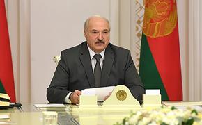 Лукашенко предложил сажать за палки-галки