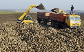 Россия и Украина начинают «сахарную войну»