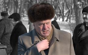 Жириновский хочет вице-президента России
