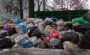 Во Владимире мусорный коллапс после новогодних праздников. Власти же не знали, что в России будет Новый год