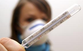 В Латвии продолжают умирать от гриппа