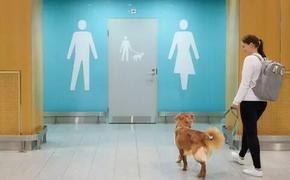 Сервис высокого класса: в аэропорту Хельсинки созданы туалеты для животных