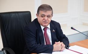 В Совфеде отреагировали на заявление Украины и Грузии о нарушении Россией морского права