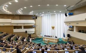 В Совфеде прокомментировали заявление экс-президента Латвии о русском языке