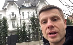 Украинский депутат обвинил российских политиков в наличии особняков в Вене