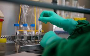 Власти Евросоюза подтвердили девять случаев заражения коронавирусом