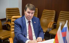 Сенатор от Крыма Сергей Цеков предложил ужесточить наказания за беспорядки в России, как во Франции 