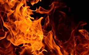 В Подмосковье два человека погибли во время пожара в бане