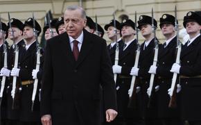 Эрдоган объяснился за фашистское приветствие, которое он крикнул в Киеве