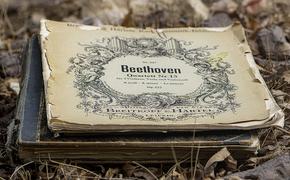 Действительно ли Бетховен был глухим?