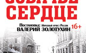 В Челябинске покажут «Собачье сердце» в постановке Валерия Золотухина