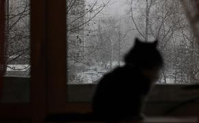 Синоптики: похолодание и снег придут в Москву на следующей неделе