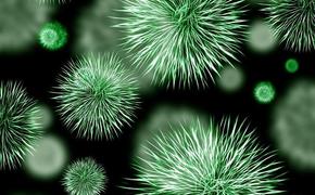 Коронавирус 1 марта: вирус нашли ещё в 5 странах, первая смерть зафиксирована в США