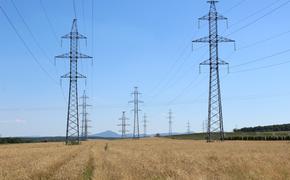 «Россети Кубань» подключили к электрическим сетям 20 новых сельхозпредприятий