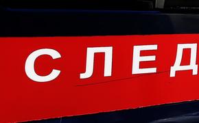 Несовершеннолетний подозреваемый в убийстве подростка в Санкт-Петербурге  дал признательные показания