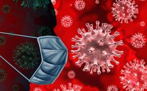 Как защитить себя и близких от коронавируса   