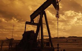 Белоусов назвал  «арабских партнеров»   из стран Персидского залива виновными  за обвал цен на нефть 