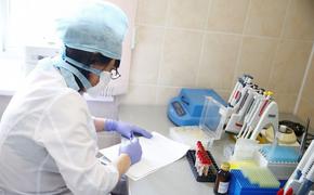 На Кубани новых случаев заражением коронавирусом не зарегистрировано