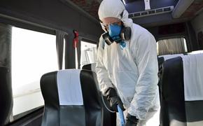 Выложено пророчество «ясновидящей» о затухании эпидемии коронавируса в России