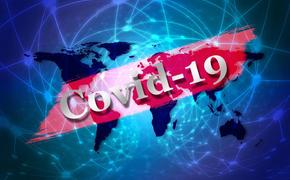 В Армении число случаев заражения COVID-19 достигло 663