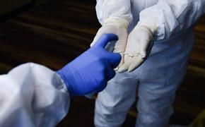 На Кубани заработал информационный портал о ситуации с коронавирусом