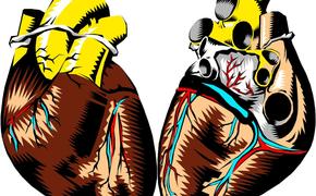 Кардиологи выяснили, почему сильный пол больше подвержен сердечным заболеваниям