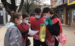 Более 700 заявок отработано добровольцами на Кубани в рамках акции #МыВместе