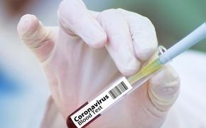 В России готовят к выпуску три варианта вакцины от коронавируса